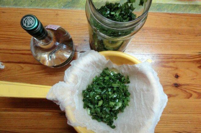 Βάμμα από kolanchoe και βότκα